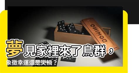 夢見家裡|夢見人來家裡